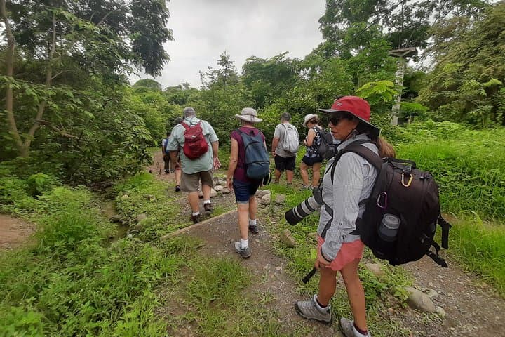 Churute Mangrove & Cacao Farm Day Trip from Guayaquil photo 6