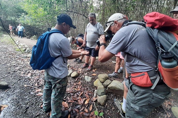 Exploring Churute Mangrove Reserve: Full-Day Boat Tour for Birding & Howler Monkeys photo 4