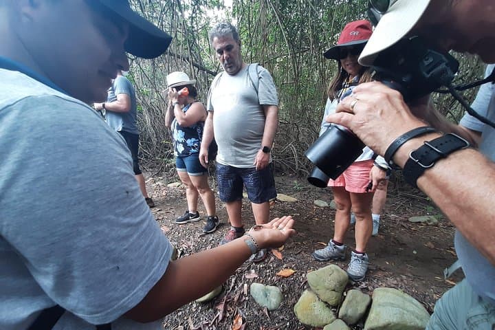 Churute Mangrove & Cacao Farm Day Trip from Guayaquil photo 3