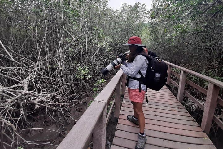 Churute Mangrove & Cacao Farm Day Trip from Guayaquil photo 2