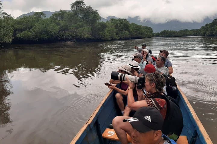 Churute Mangrove & Cacao Farm Day Trip from Guayaquil