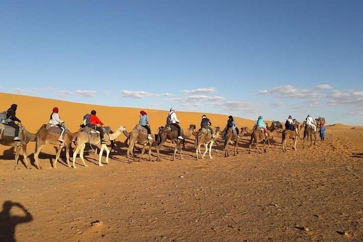 Overnight in the Zagora Desert: 1-Night Sahara Camp, Camel Ride & Starry Skies photo 4