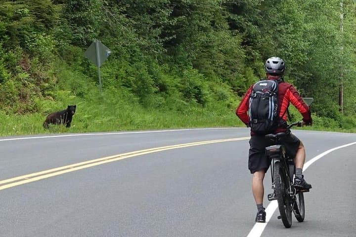 Exploring Ketchikan’s Tongass: Electric Bike and Rainforest Hike Adventure photo 2