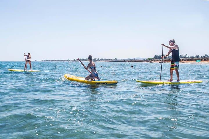 Larnaca Stand-Up Paddle Lesson: Learn SUP on the Mediterranean Coast photo 3