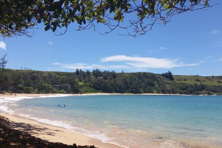 Private Kauai North Shore Tour — Wailua Falls, Kīlauea Lighthouse & Hanalei Bay photo 5