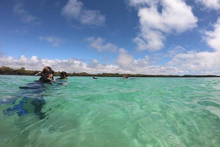 Half-Day Tintoreras Snorkel & Islet Walk — Isabela Island Wildlife Cruise photo 4