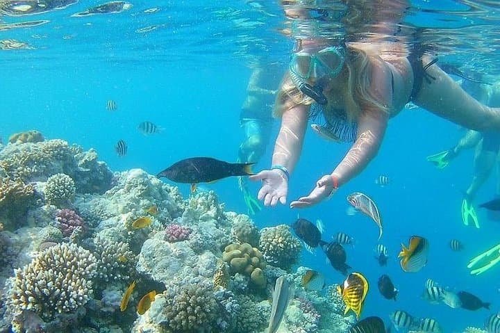 Ain El Sokhna Day Trip from Cairo: Relax on the Red Sea photo 5