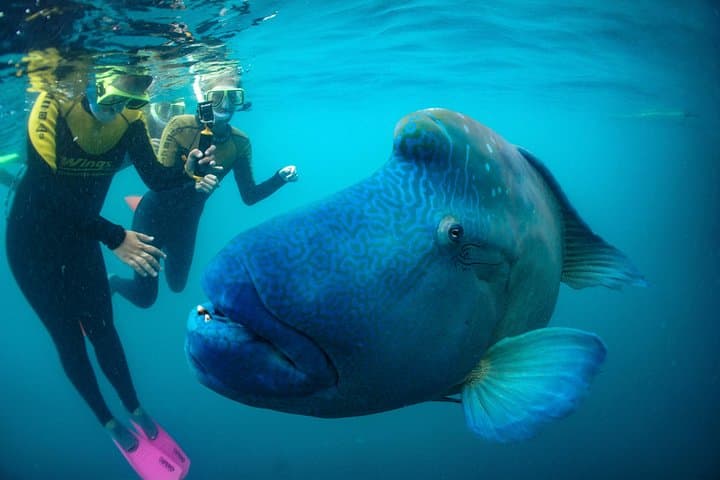 Private Whitsundays Yacht Charter: Full-Day Airlie Beach Cruise & Snorkel photo 2