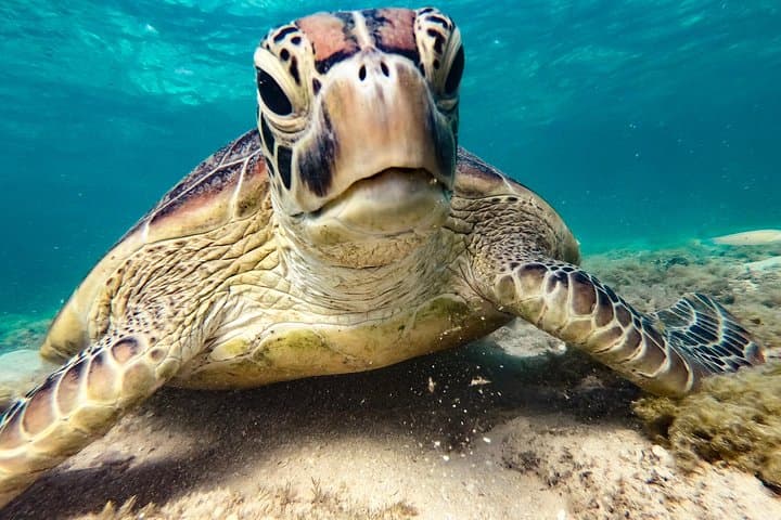 Whitsundays Sail, SUP & Snorkel Day Tour from Airlie Beach photo 4