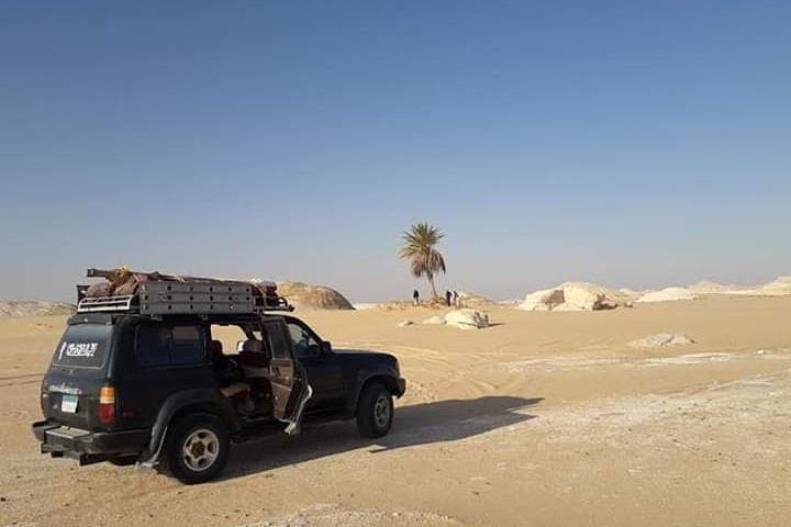 White Desert & Bahariya Oasis: 2-Day Desert Camping Tour from Cairo photo 3