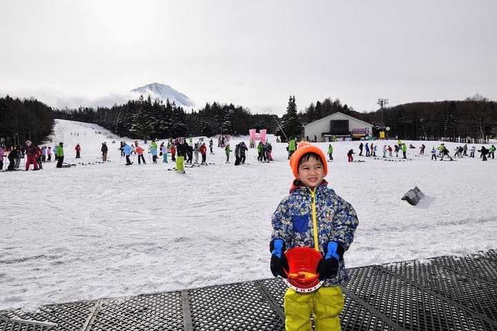 Mt. Fuji Strawberry Picking and Beginner Snow Day Trip from Tokyo photo 5