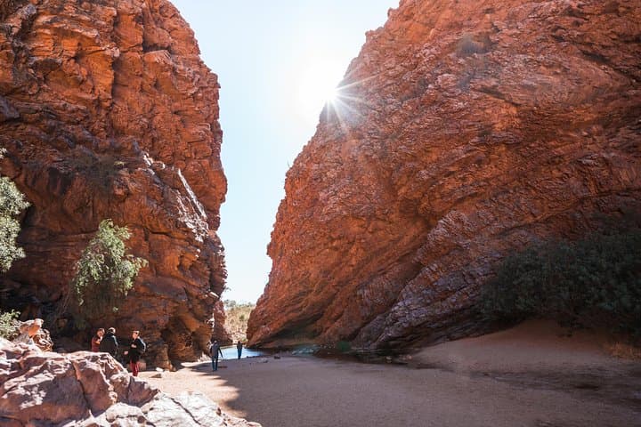 Half-Day West MacDonnell Ranges: Simpsons Gap & Standley Chasm from Alice Springs