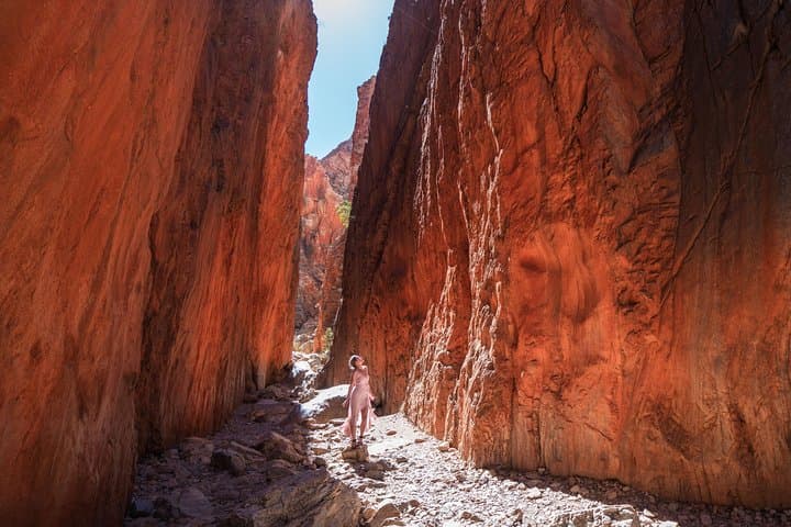 Half-Day West MacDonnell Ranges: Simpsons Gap & Standley Chasm from Alice Springs photo 2