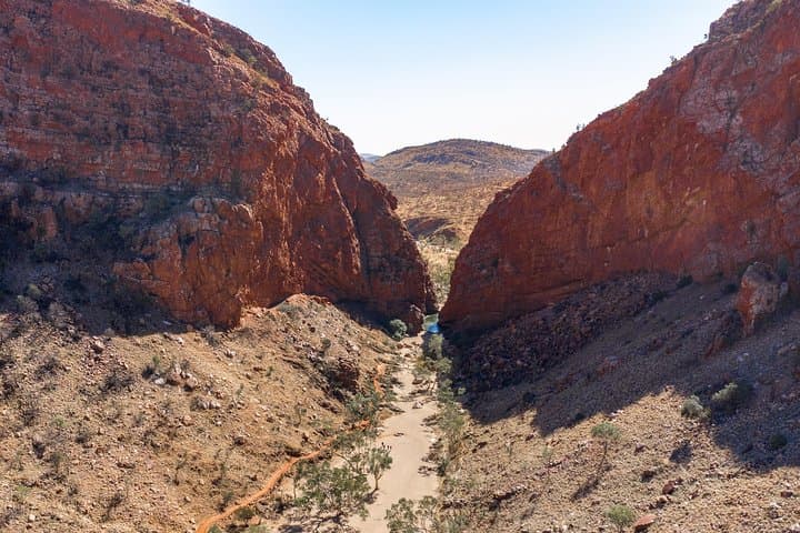 Half-Day West MacDonnell Ranges: Simpsons Gap & Standley Chasm from Alice Springs photo 3