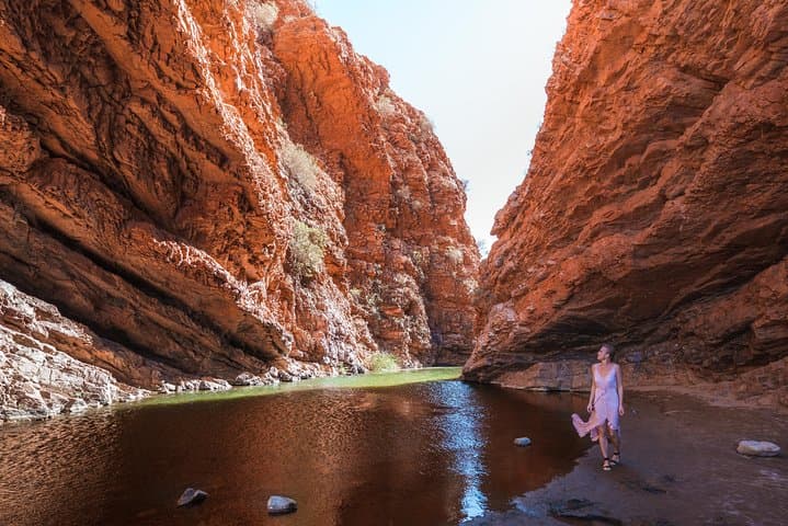 Half-Day West MacDonnell Ranges: Simpsons Gap & Standley Chasm from Alice Springs photo 4
