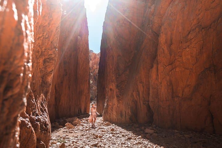 Half-Day West MacDonnell Ranges: Simpsons Gap & Standley Chasm from Alice Springs photo 5