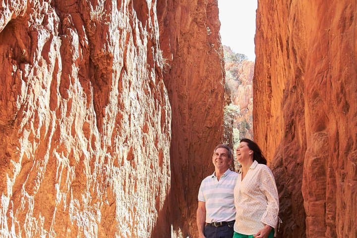 Half-Day West MacDonnell Ranges: Simpsons Gap & Standley Chasm from Alice Springs photo 6