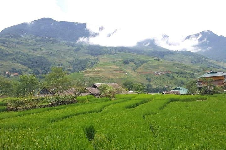 Day Trek in Muong Hoa Valley: Sapa Villages, Rice Terraces & Local Lunch photo 4
