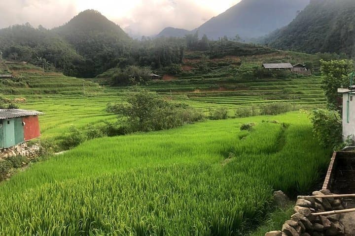 Day Trek in Muong Hoa Valley: Sapa Villages, Rice Terraces & Local Lunch photo 5