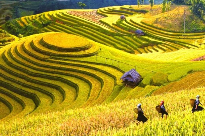Full-Day Sapa Downhill Biking Tour: Ma Tra, Ta Phin & Takko Pass