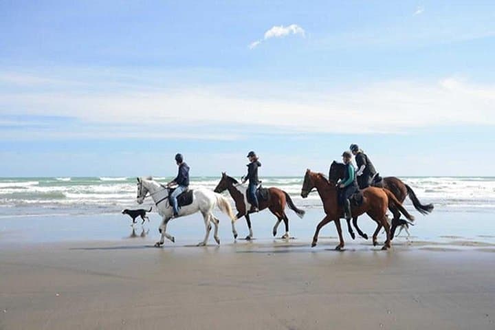 Hurghada Horseback Ride: 2-Hour Desert and Red Sea Sunset Adventure photo 5