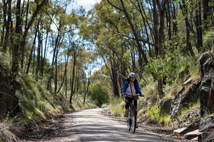 Beechworth to Milawa: Self-Guided Gourmet Cycling Along the Murray to Mountains Rail Trail photo 3