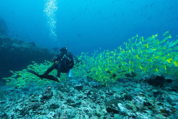 SSI Open Water Diver Certification on Koh Tao — 3-Day Scuba Course photo 2