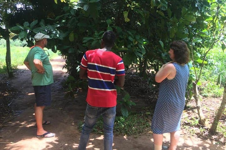 Zanzibar Spice Farm and Jozani Forest Private Tour: Red Colobus & Mangrove Walk