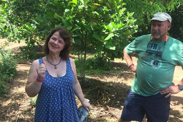 Zanzibar Spice Farm and Jozani Forest Private Tour: Red Colobus & Mangrove Walk photo 3