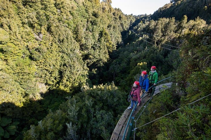 Ultimate Canopy Zipline Private Tour from Auckland to Rotorua photo 2