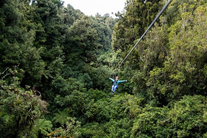 Auckland to Rotorua Canopy Zipline: Full-Day Private Forest Canopy Adventure photo 3