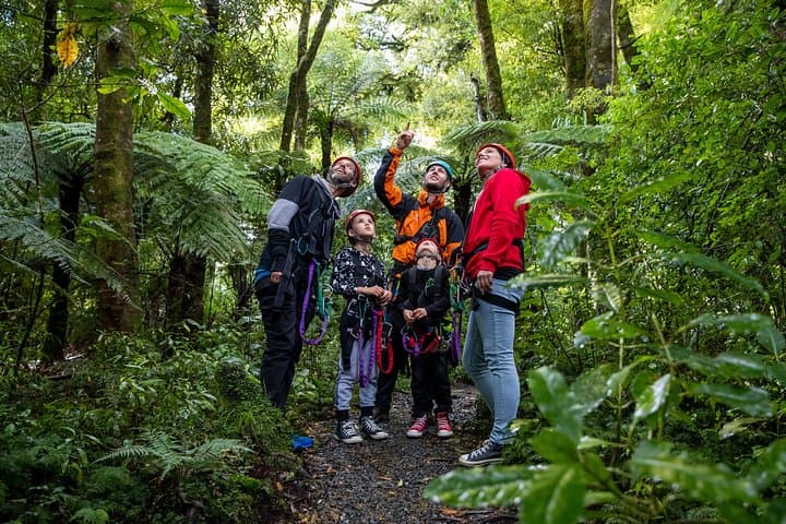 Auckland to Rotorua Canopy Zipline: Full-Day Private Forest Canopy Adventure photo 4