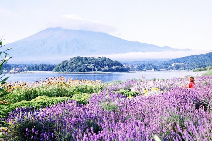 Accessible Mt. Fuji Private Tour — Wheelchair-Friendly Views, Kawaguchiko & Kubota Museum photo 3