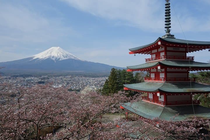 Accessible Mt. Fuji Private Tour — Wheelchair-Friendly Views, Kawaguchiko & Kubota Museum photo 4