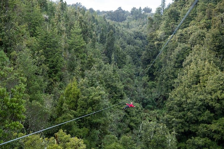Ultimate Canopy Zipline Private Tour from Auckland to Rotorua photo 3