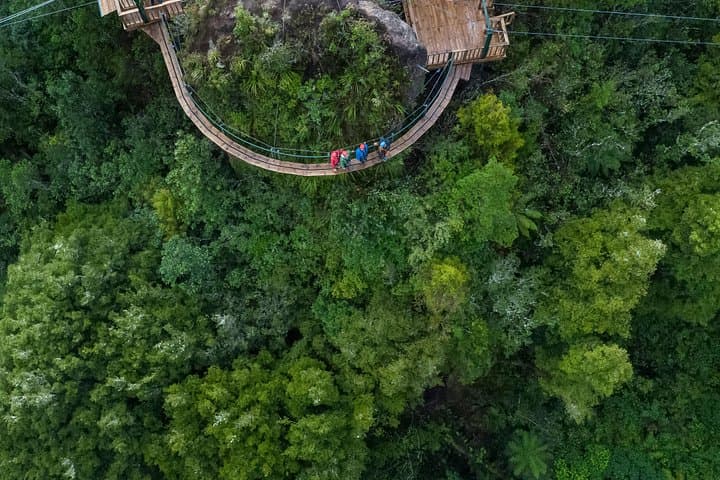 Ultimate Canopy Zipline Private Tour from Auckland to Rotorua photo 6