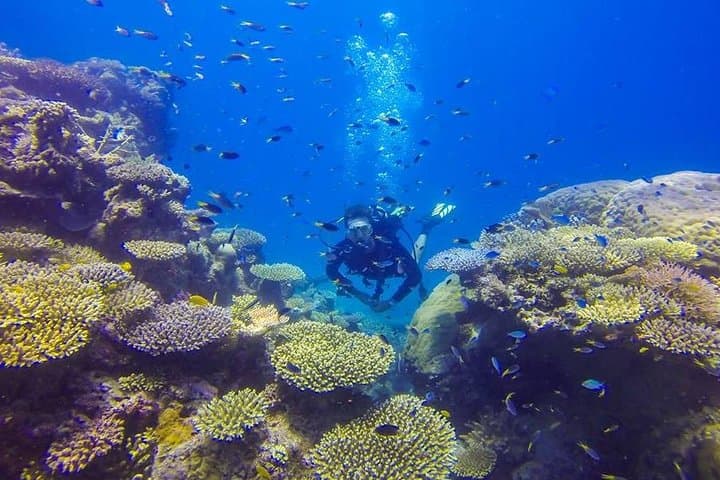Great Barrier Reef Cruise from Townsville or Magnetic Island — Snorkel & Dive Day Trip photo 6