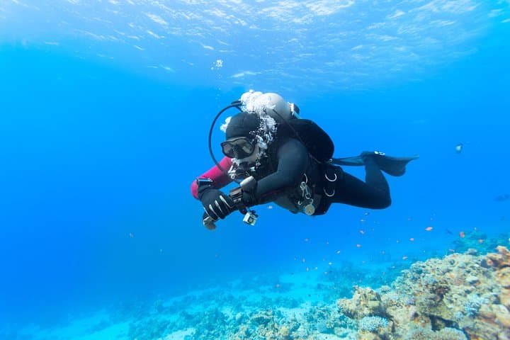 Introductory Scuba Dive in Eilat — Coral Beach Beginner Experience photo 3