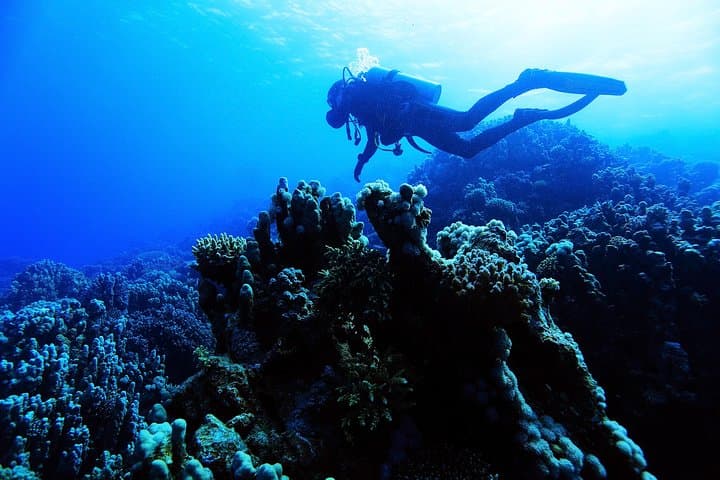 Introductory Scuba Dive in Eilat — Coral Beach Beginner Experience photo 4