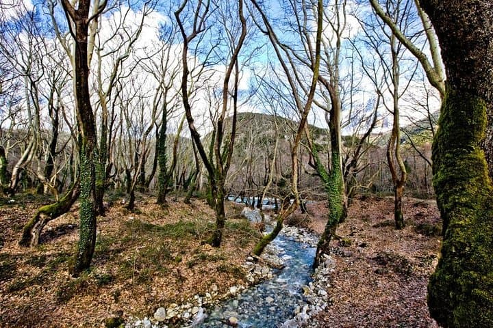 Three-Day Trek Through Vikos Gorge: Hikes, Stone Bridges & Voidomatis River photo 5