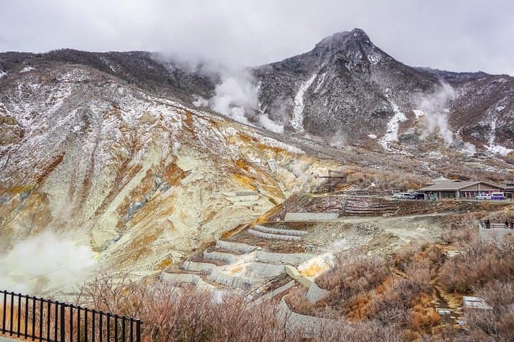 Hakone One-Day Private Tour — Lake Ashi, Owakudani & Hakone Shrine photo 3