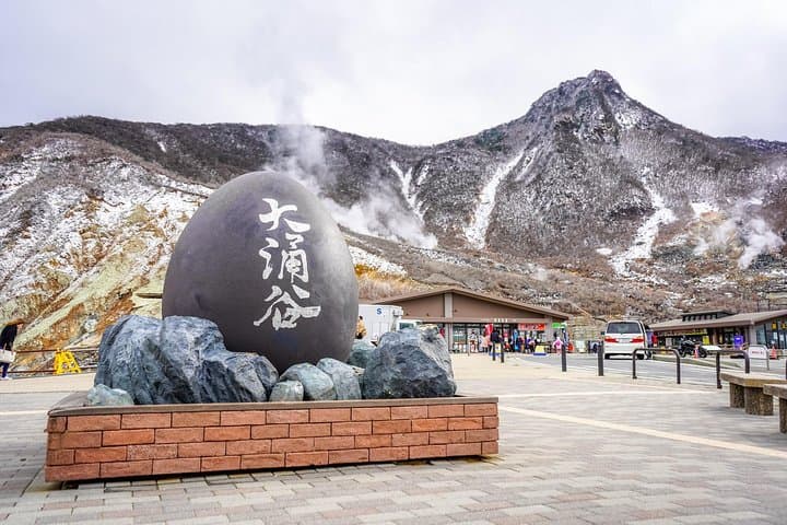 Hakone One-Day Private Tour — Lake Ashi, Owakudani & Hakone Shrine photo 6