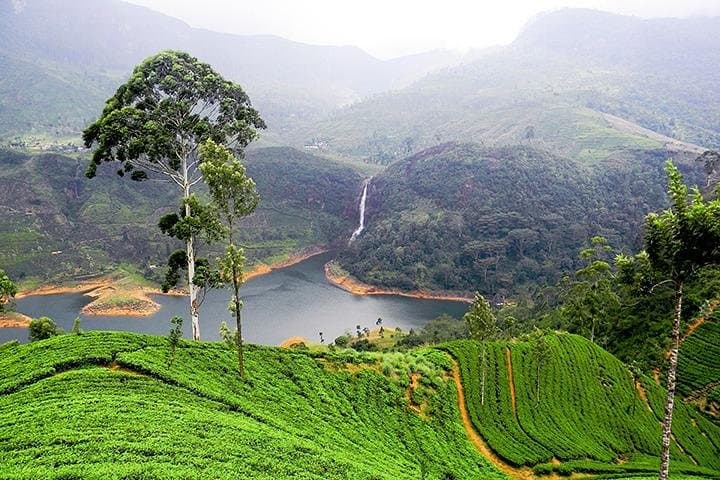 Essence of Sri Lanka: 8-Day Private Tour with English-Speaking Driver photo 2