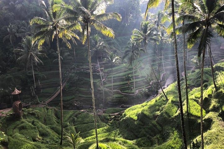 Sunrise at Hidden Village of Heaven and Ubud Tour — Mount Batur, Tegalalang & Tibumana Waterfall photo 2