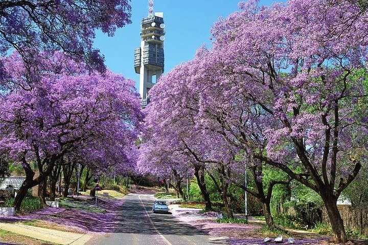 City Tour of Pretoria: Voortrekker Monument, Paul Kruger House & Union Buildings photo 4