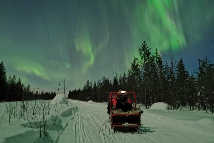Northern Lights Sledge Ride in Rovaniemi: Arctic Snowmobile Sledge Aurora Tour photo 6