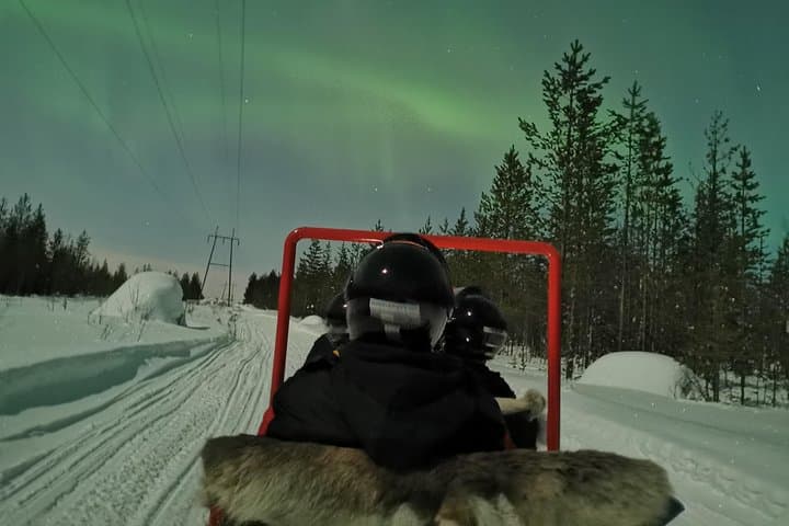Northern Lights Sledge Ride in Rovaniemi: Arctic Snowmobile Sledge Aurora Tour photo 5