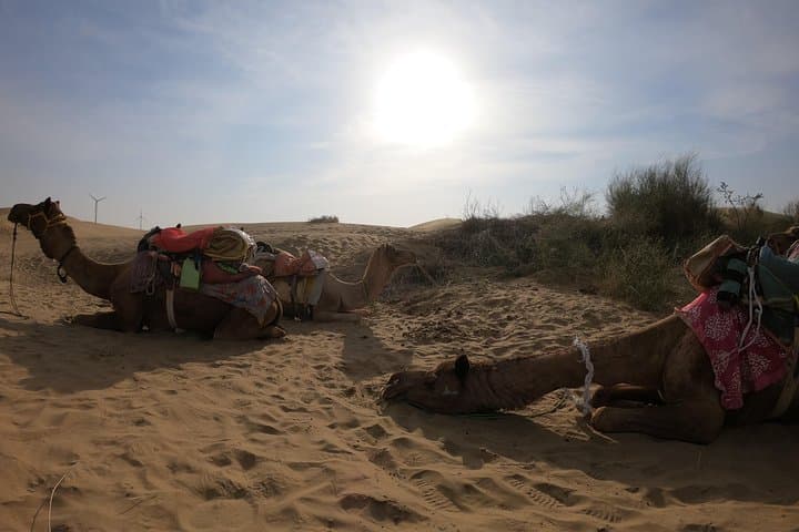 2-Day Camel Safari from Jaisalmer: Overnight Thar Desert Camp & Ghost Village Visit photo 3