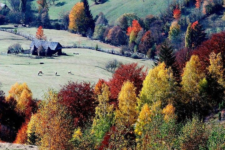 3-Day Transylvania 4x4 Off-Road Adventure: Bucegi, Bran & Traditional Villages photo 3