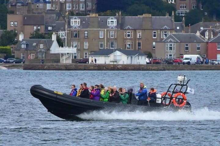 Tay Estuary Speedboat Seafari: Dolphins, Seals & Coastal Sights photo 4
